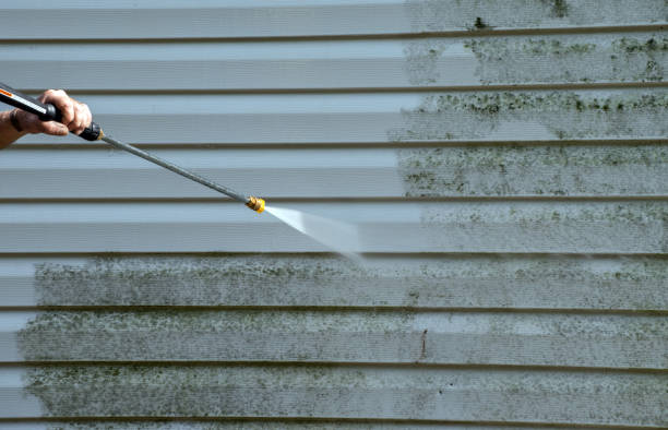 Mold Removal Process in Dennis Port, MA