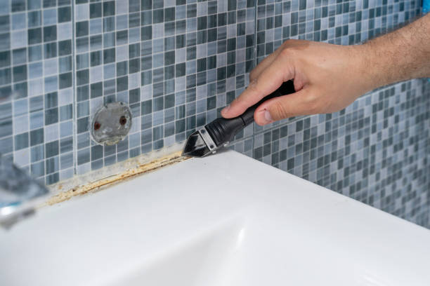 Best Commercial Mold Removal  in Dennis Port, MA